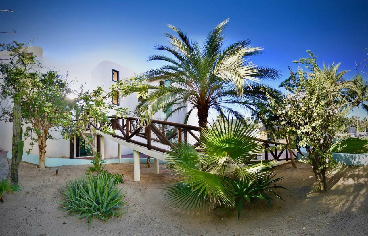 מלון San José del Cabo Santa Maria Del Cabo מראה חיצוני תמונה
